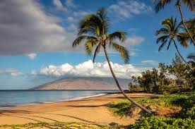 VueHAWAII.com
